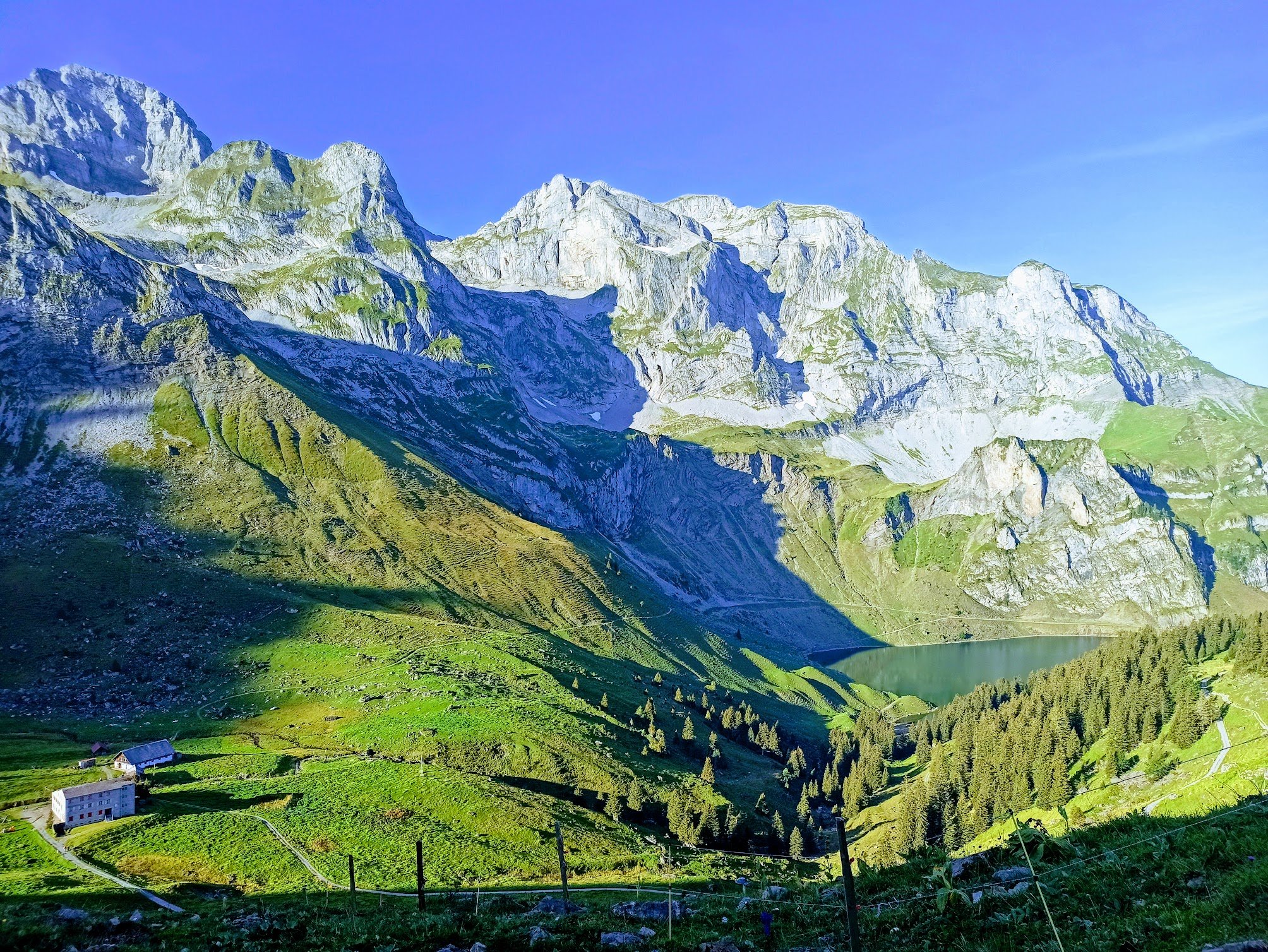 IMG_20240831_083807-EFFECTS