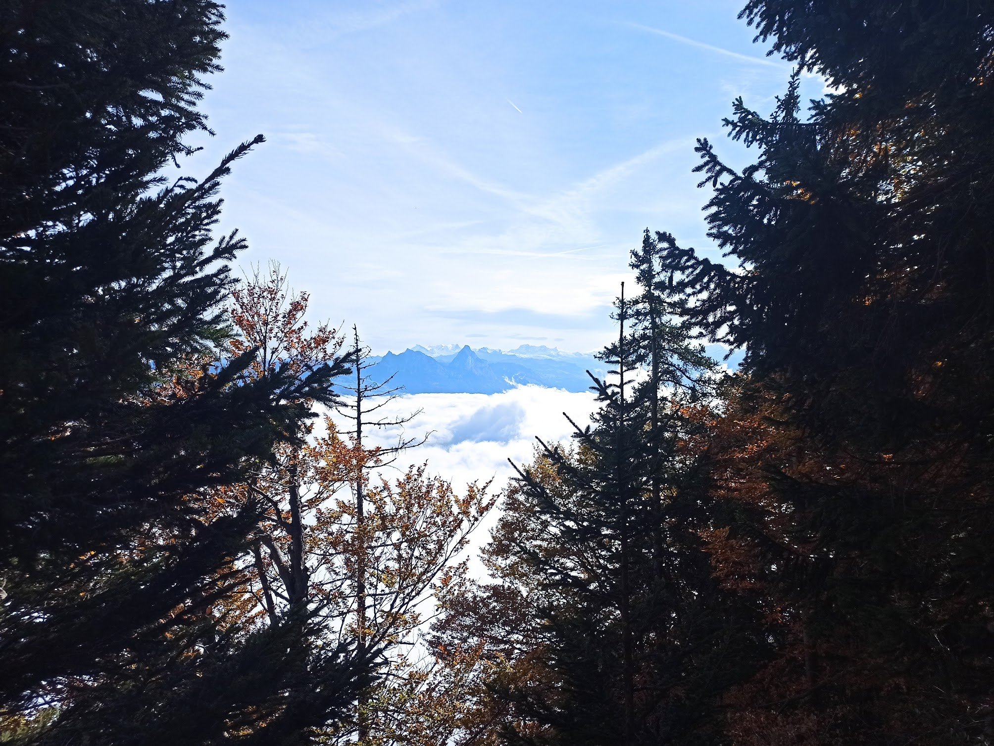 IMG_20241012_112322-1