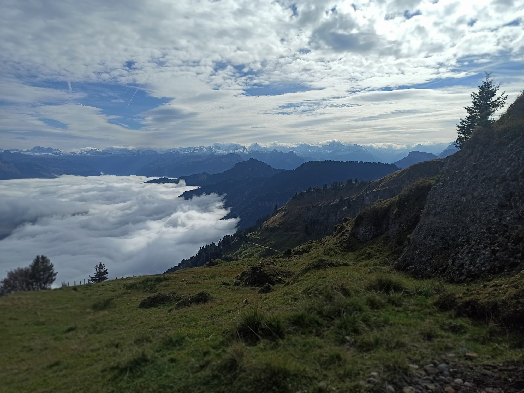 IMG_20241012_121913-1