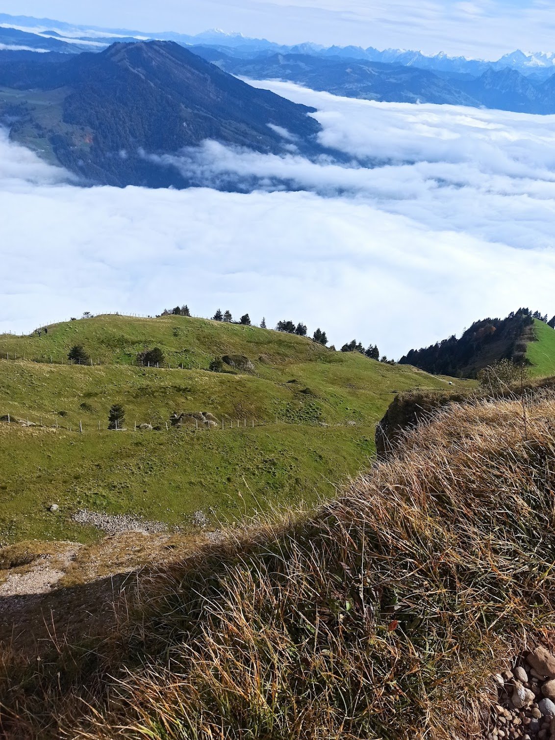 IMG_20241012_122548-1