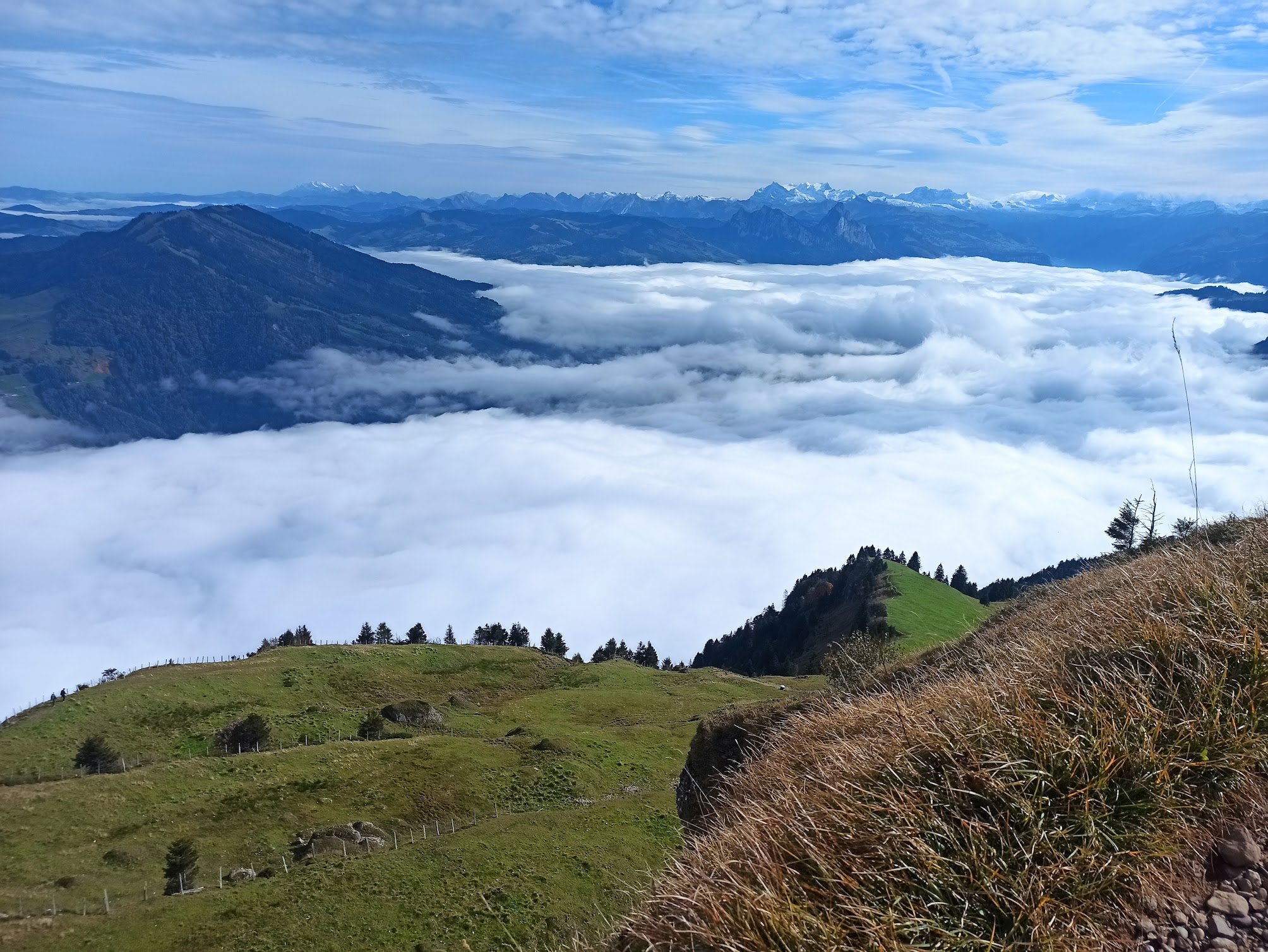 IMG_20241012_122554-1