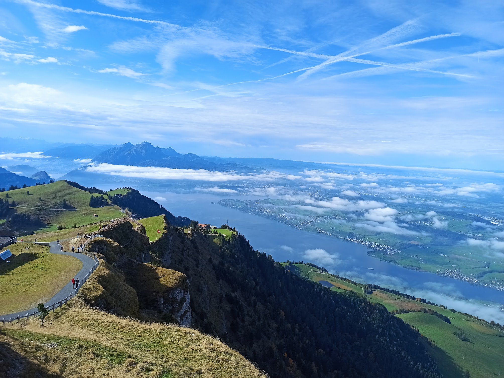 IMG_20241012_124418-1