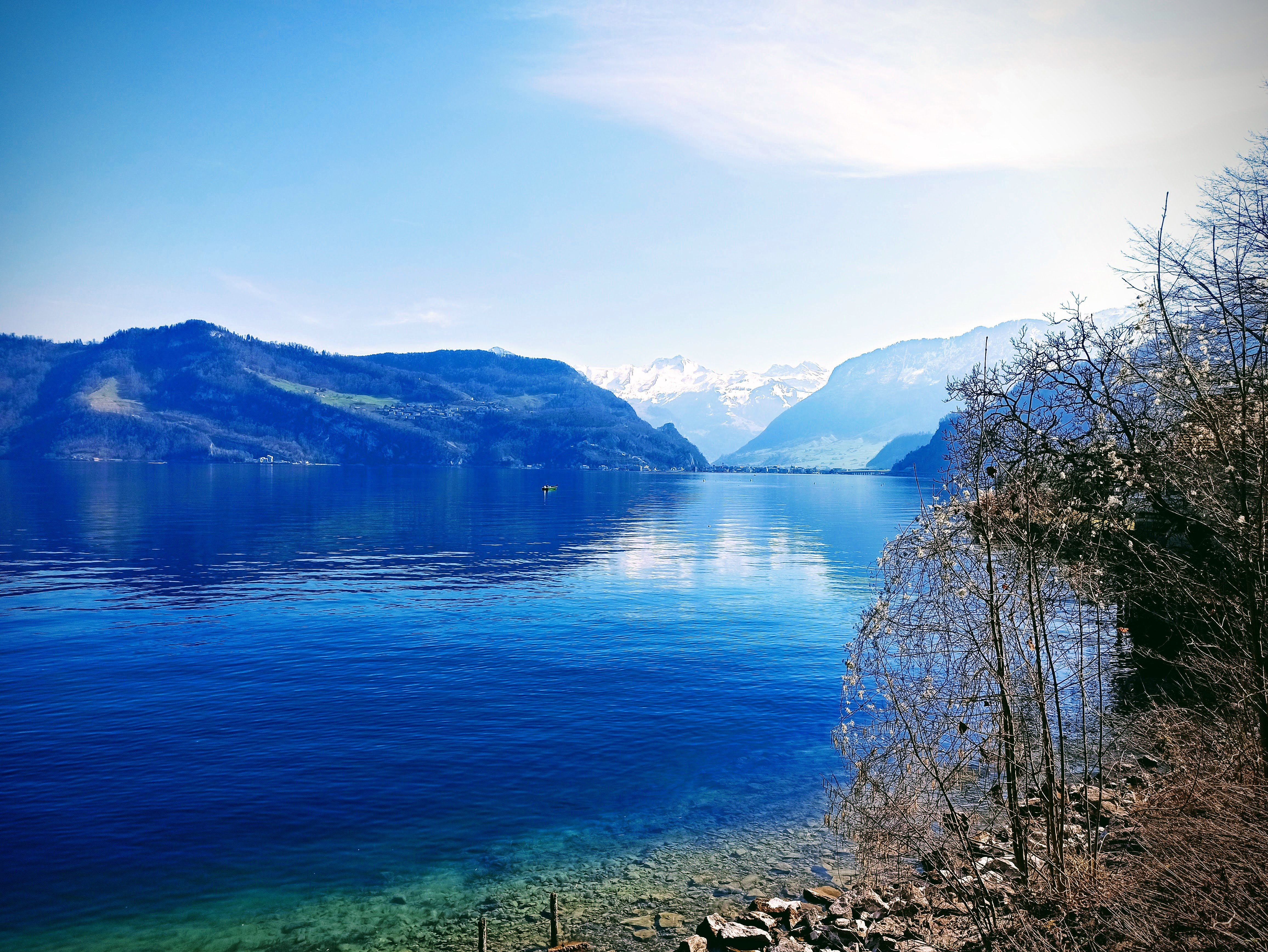 IMG_20250307_133244-EFFECTS