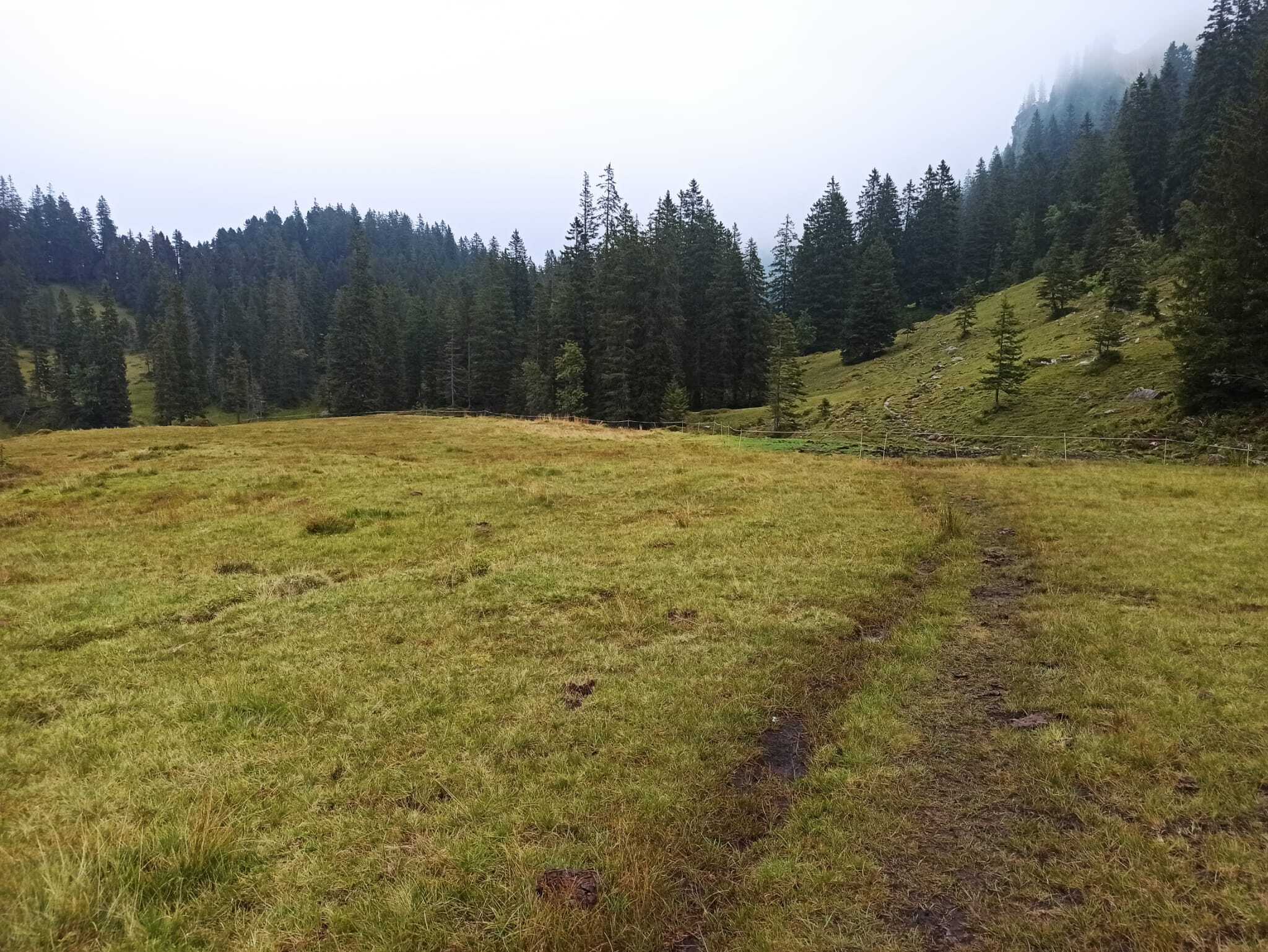 WhatsApp Image 2025-09-09 at 15.02.38 (5)-1