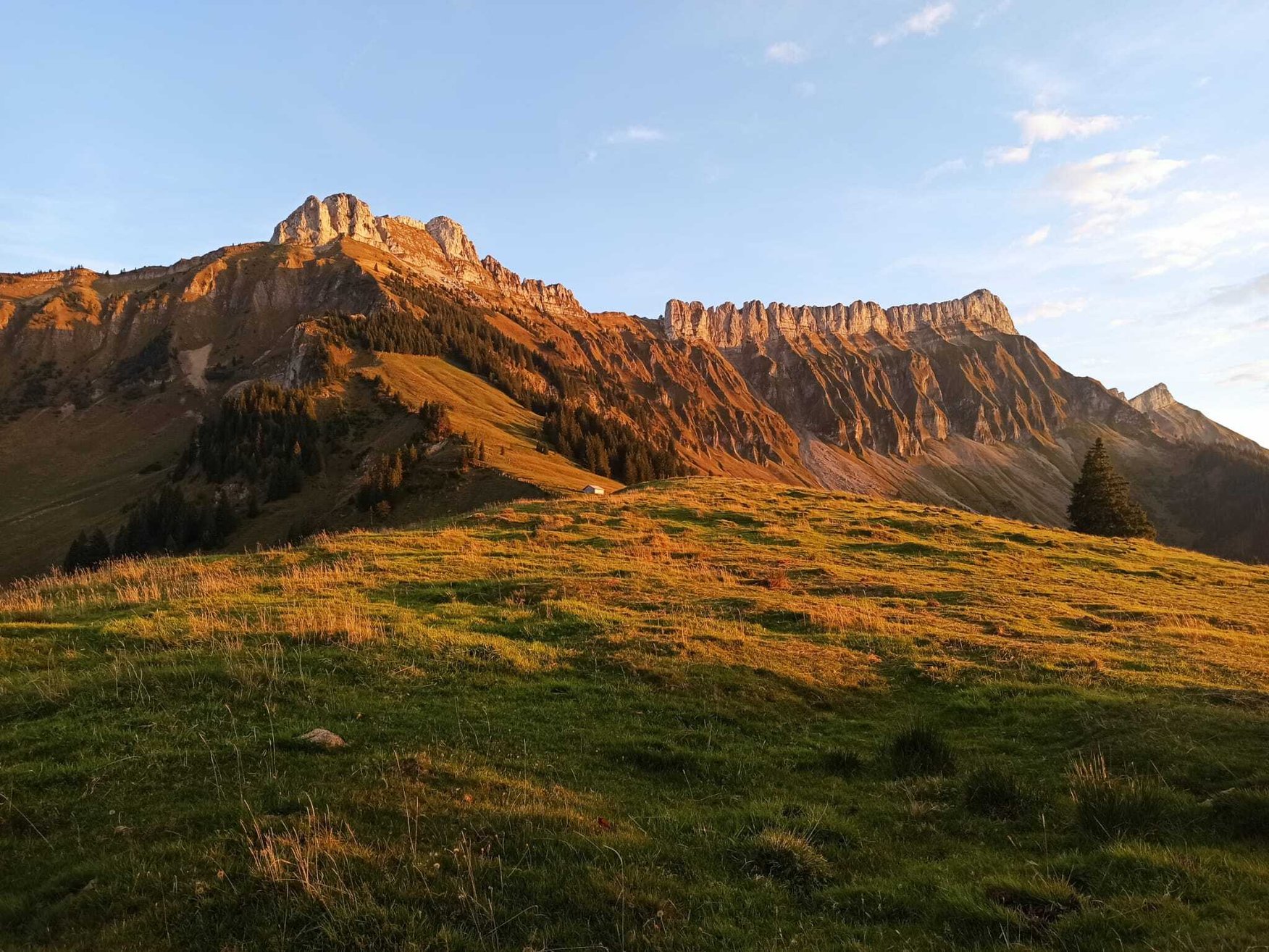 WhatsApp Image 2025-09-23 at 13.14.37 (3)