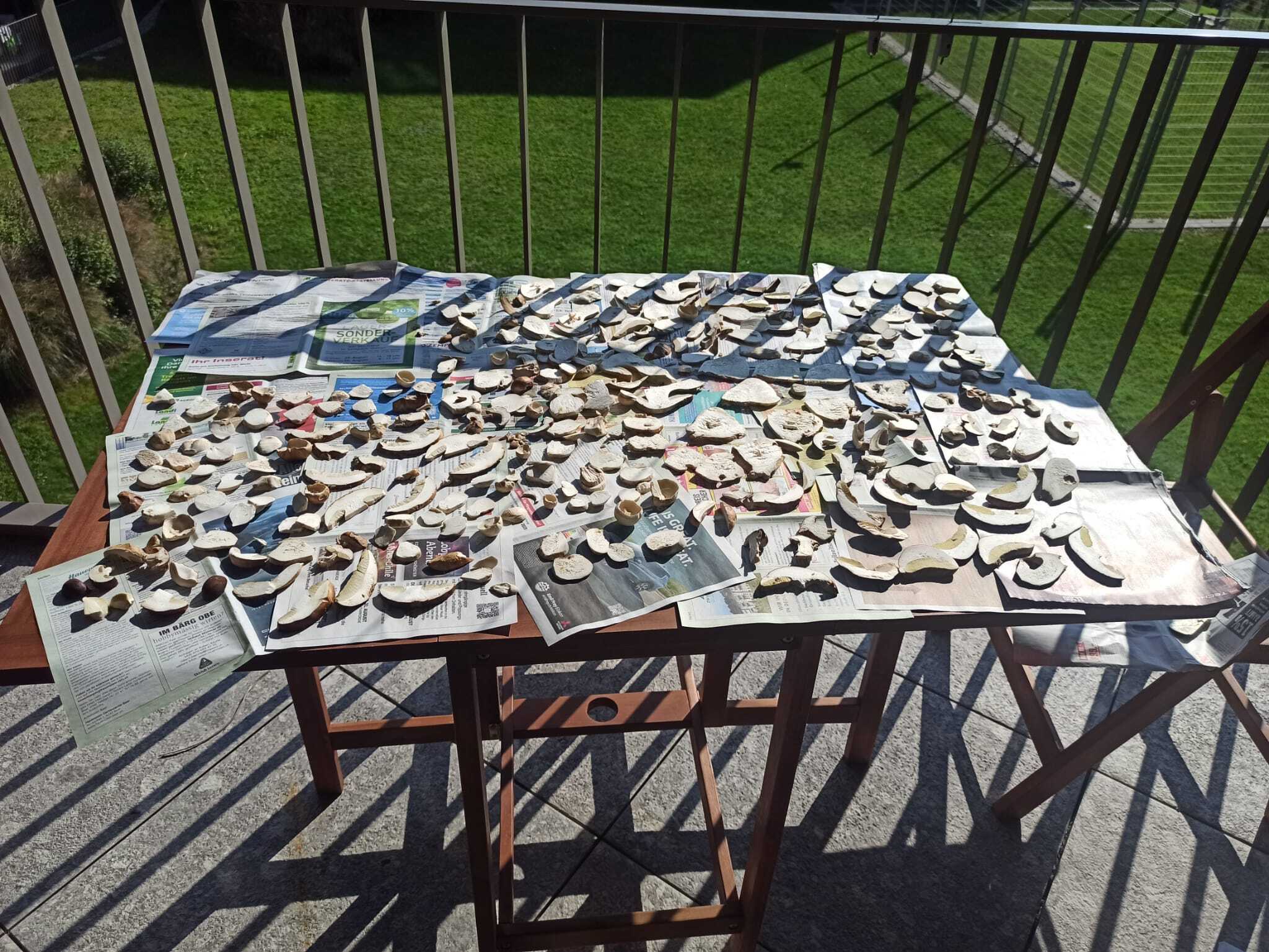 WhatsApp Image 2025-09-23 at 13.14.38