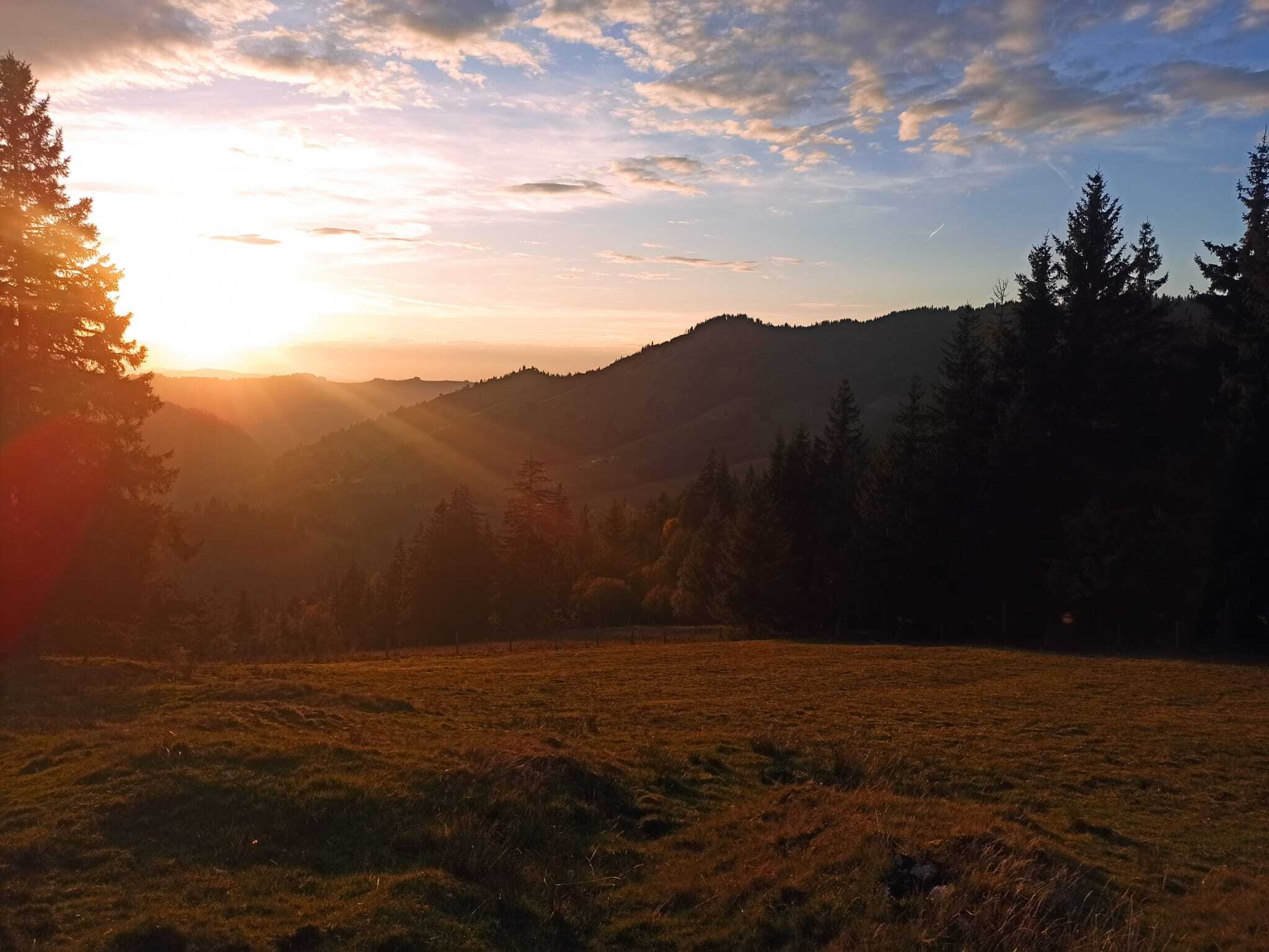 WhatsApp Image 2025-09-23 at 13.14.39