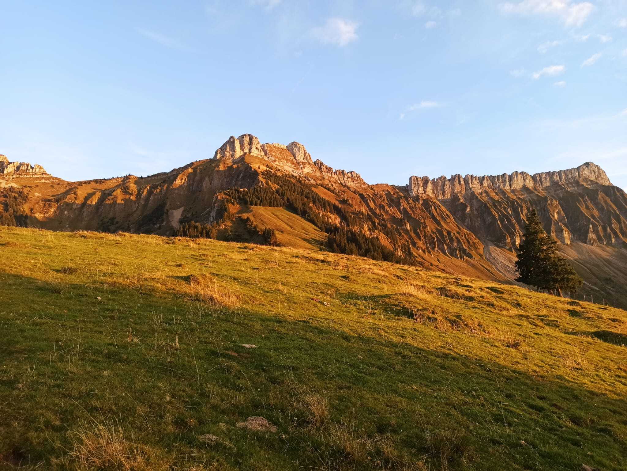 WhatsApp Image 2025-09-23 at 13.15.13