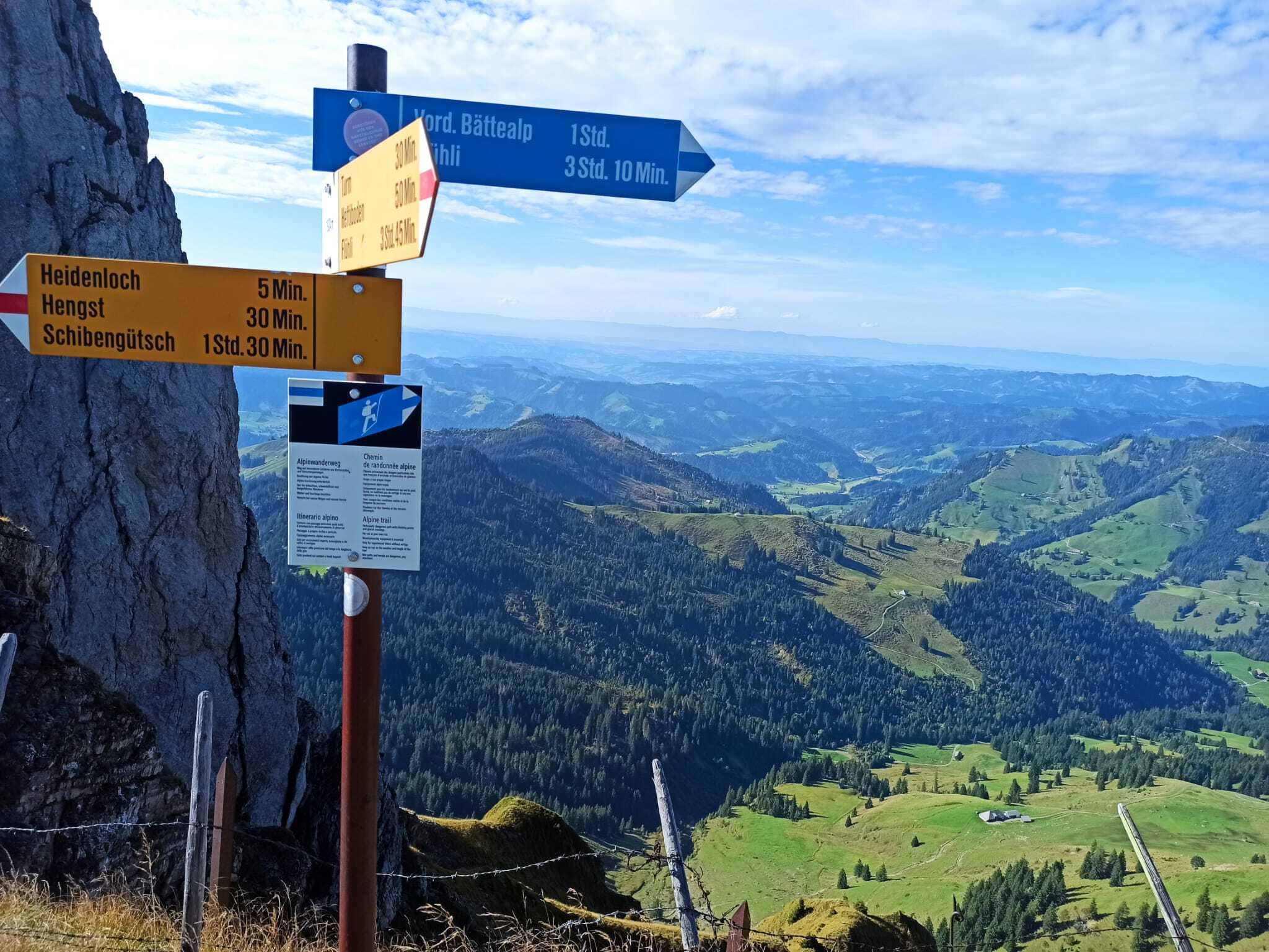 WhatsApp Image 2025-09-23 at 13.15.14 (3)