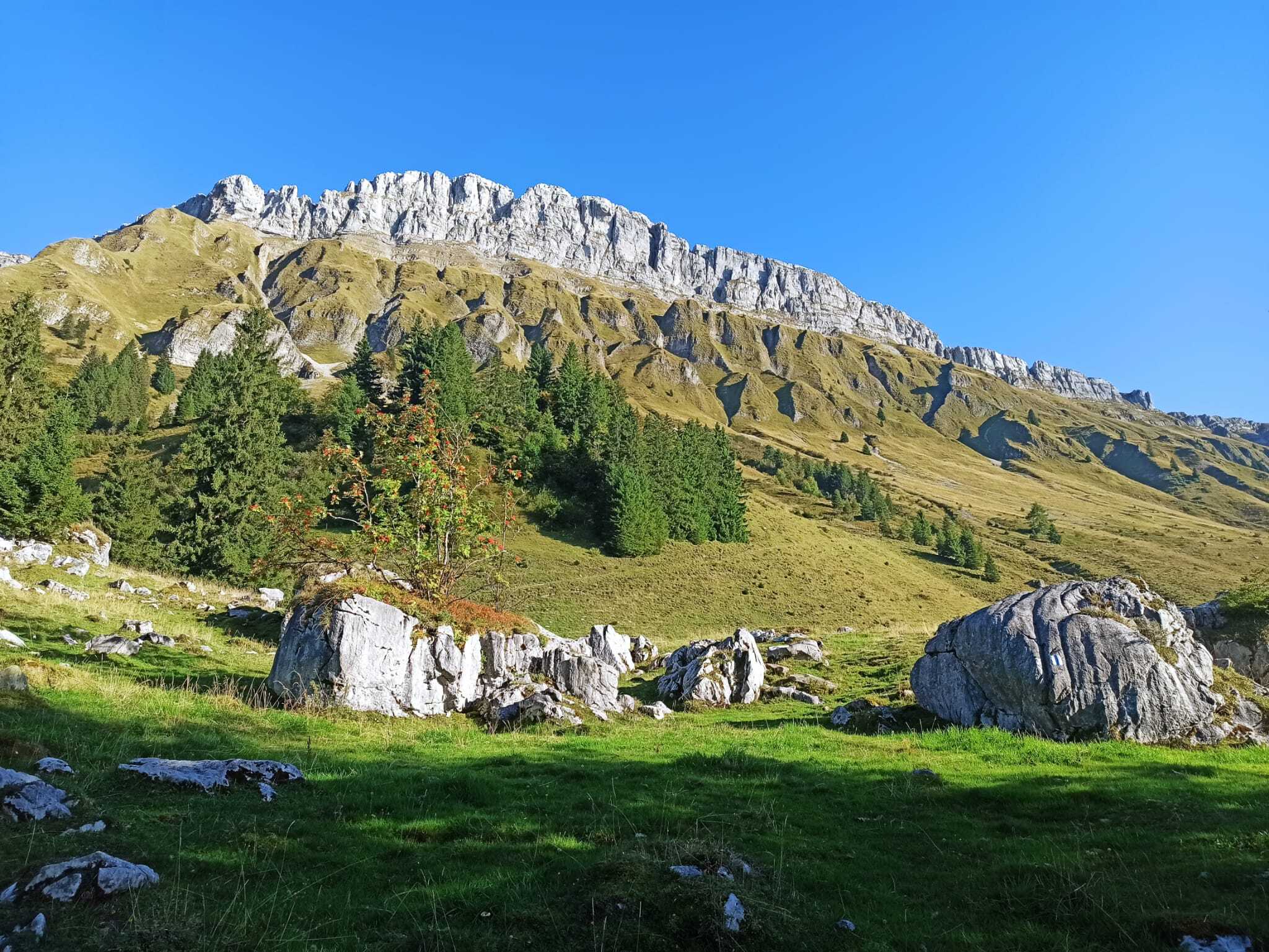 WhatsApp Image 2025-09-23 at 13.15.14