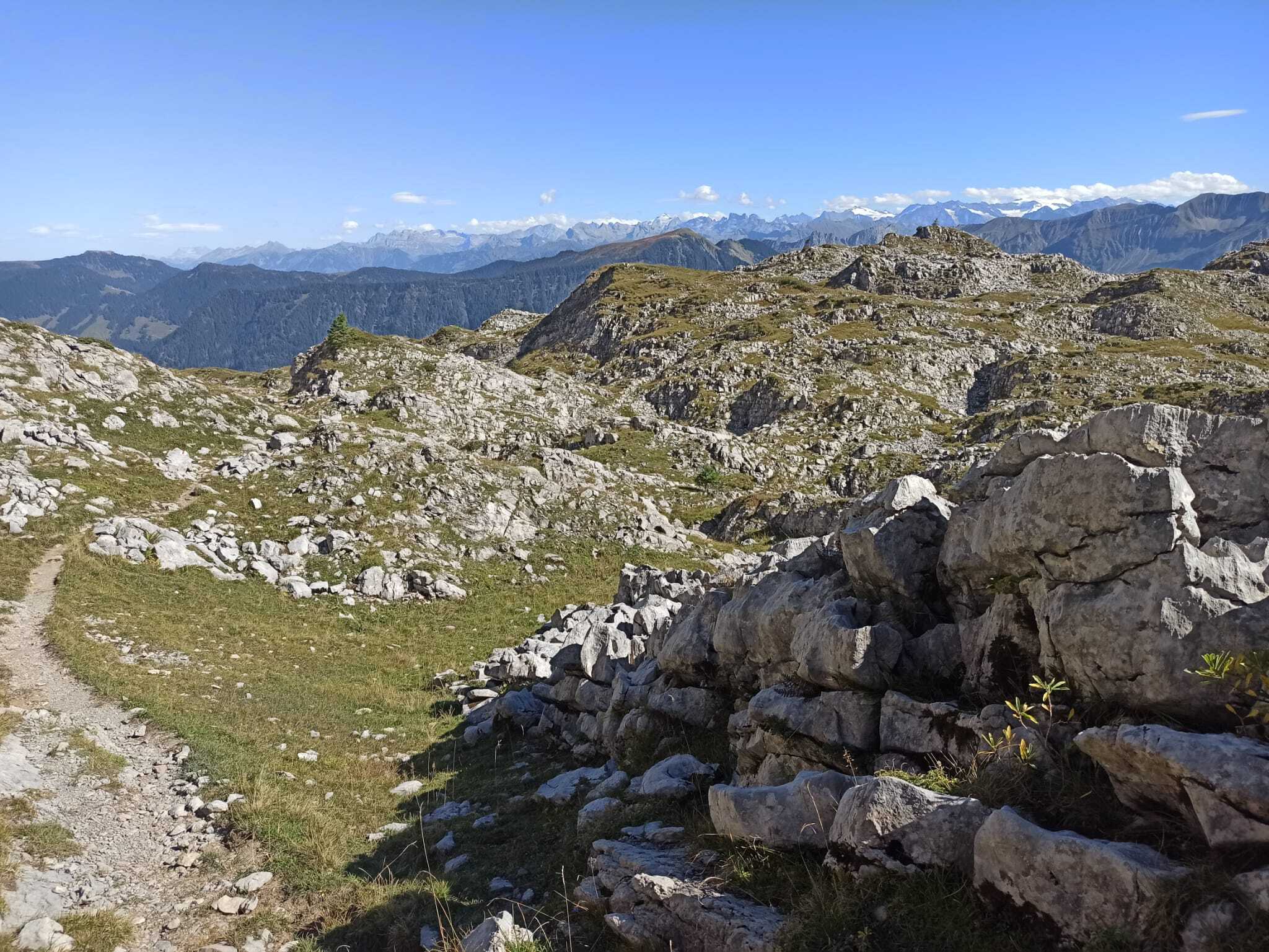 WhatsApp Image 2025-09-23 at 13.15.15 (1)