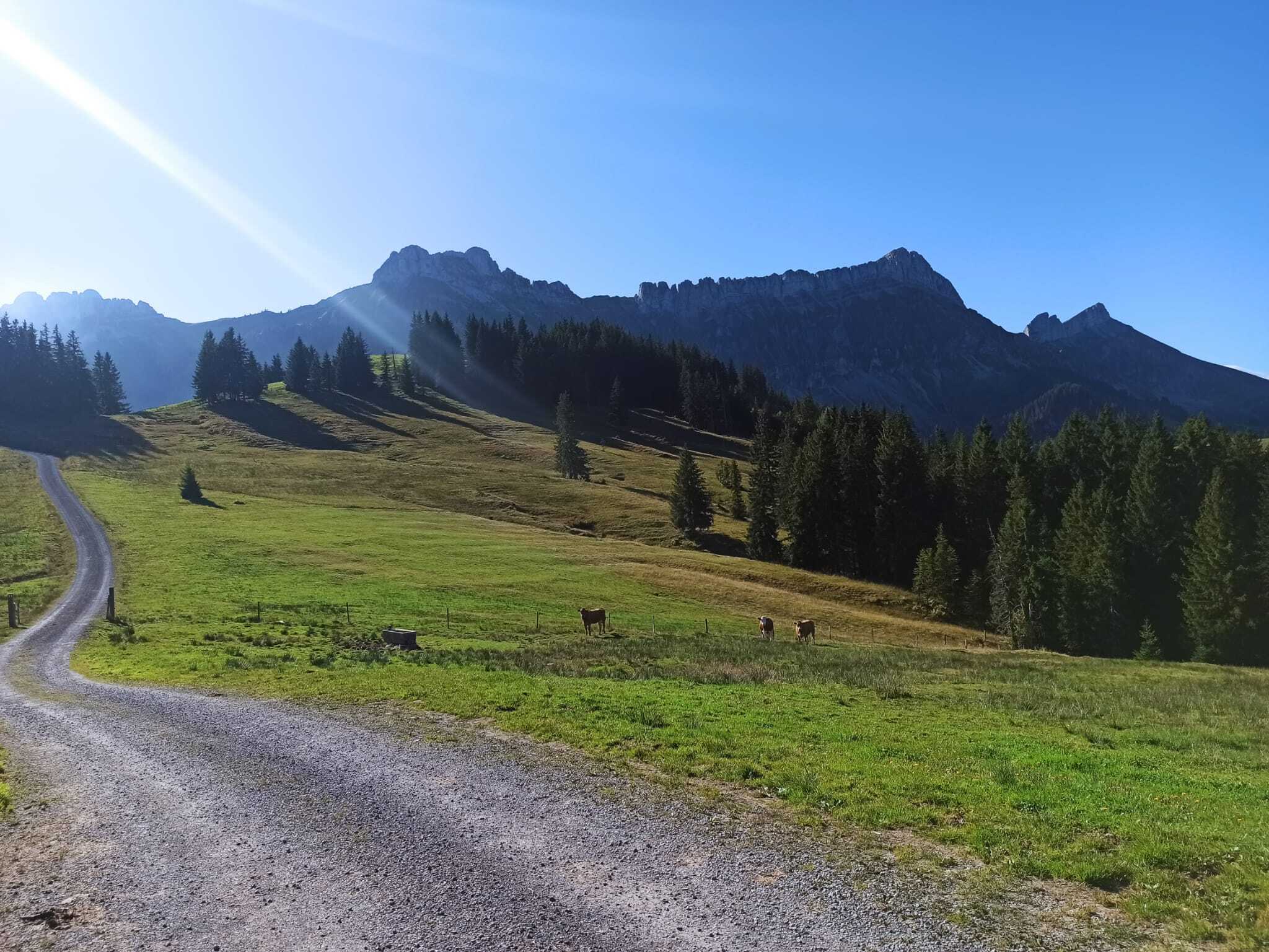 WhatsApp Image 2025-09-23 at 13.15.17 (1)-1