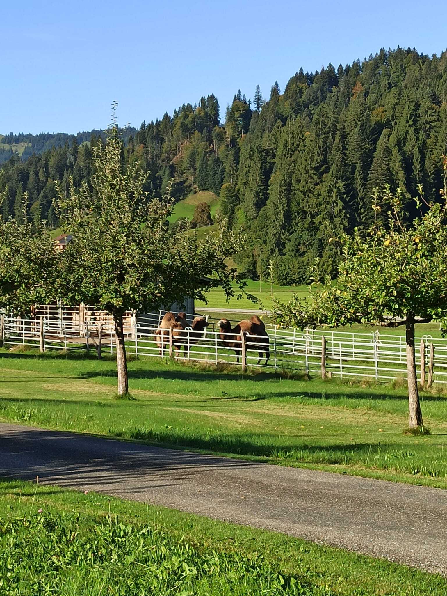 WhatsApp Image 2025-09-23 at 13.15.17 (2)