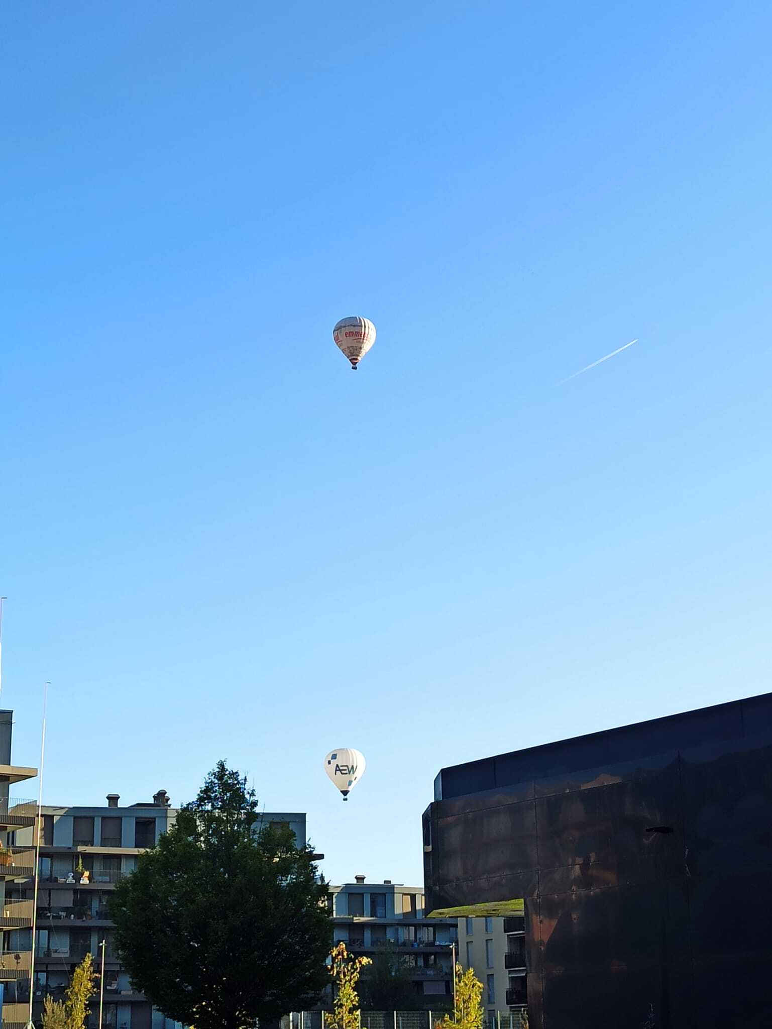 WhatsApp Image 2025-09-23 at 13.15.17 (3)